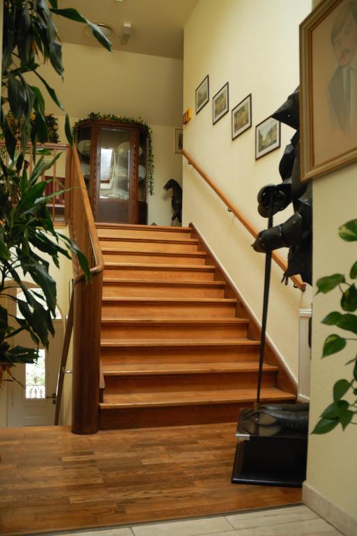 Appartamento Haus "Beuth" Bad Elster Esterno foto