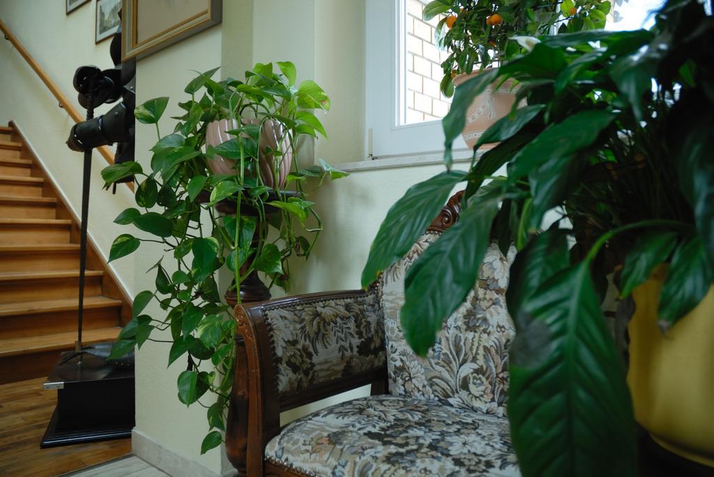 Appartamento Haus "Beuth" Bad Elster Esterno foto
