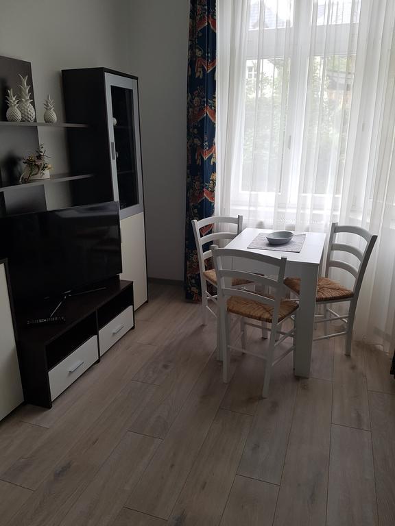 Appartamento Haus "Beuth" Bad Elster Esterno foto